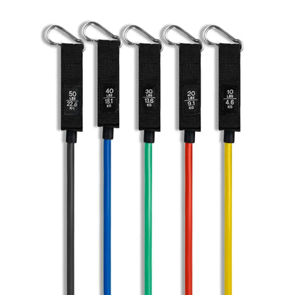 Set of five resistance bands in different colors with labeled weights from 10 to 50 lbs
